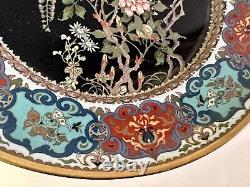 'Fine Antique Japanese Meiji Cloisonné Émail Wisteria Floral Bronze Plate 12' translates to 'Belle antique japonaise Meiji Cloisonné Émail Wisteria Floral Bronze Plate 12' in French.